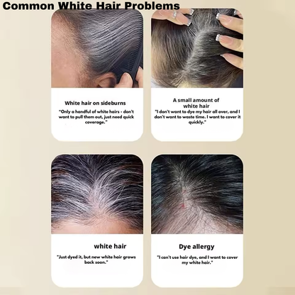 2-in-1 Instant Comb Hair Dye, Touch up Comb, Waterproof Sweat proof Hair Dye Comb for Gray Hair Coverage Beard Hair Color Stick