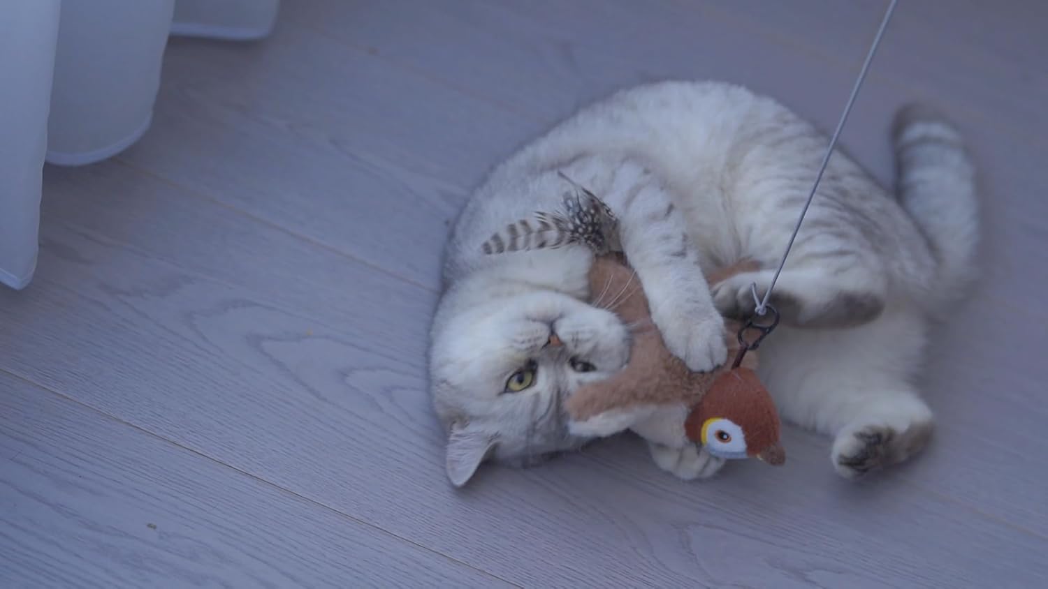 Aurece – Lifelike Flapping Bird Cat Toy KittyHunt Pro