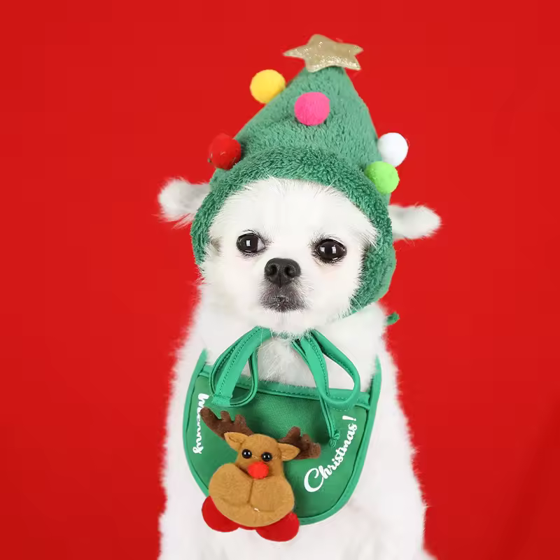 Christmas Santa Hat Dog Christmas Outfit Costume Hat and Scarf Winter Pet Accessory for Small Medium Large Dog
