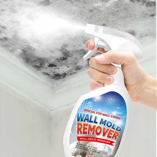 Highly Effective Mould Removal Spray 240ml Multifunctional Anti Mold Agent For White Walls