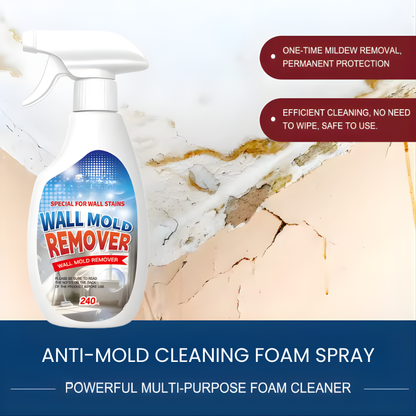 Highly Effective Mould Removal Spray 240ml Multifunctional Anti Mold Agent For White Walls
