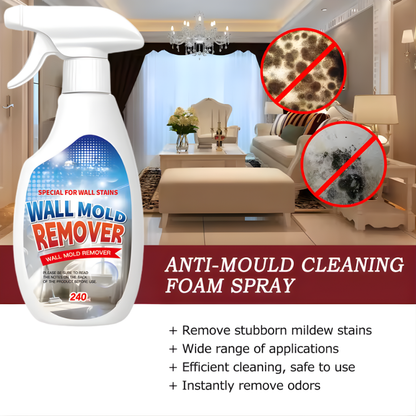 Highly Effective Mould Removal Spray 240ml Multifunctional Anti Mold Agent For White Walls