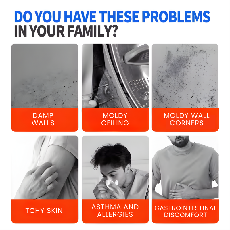Highly Effective Mould Removal Spray 240ml Multifunctional Anti Mold Agent For White Walls