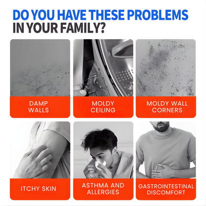 Highly Effective Mould Removal Spray 240ml Multifunctional Anti Mold Agent For White Walls