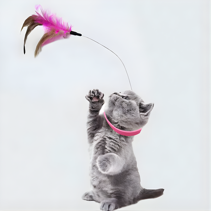 New product collar cat teaser self-entertainment cat toy neck collar feather bell cat toy pet supplies