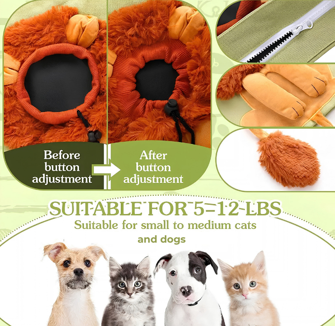 Funny Lion Shaped Cat Pet Carrier Shoulder Bag