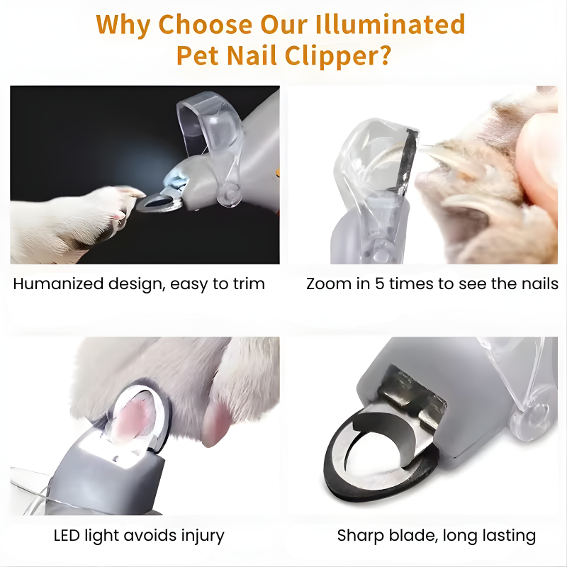 Professional Pet Nail Clipper Scissors With LED Light Cat Dog Nail Clippers Tool Scissors Nail Toeclaw Cutter Scissors Pet Suppl